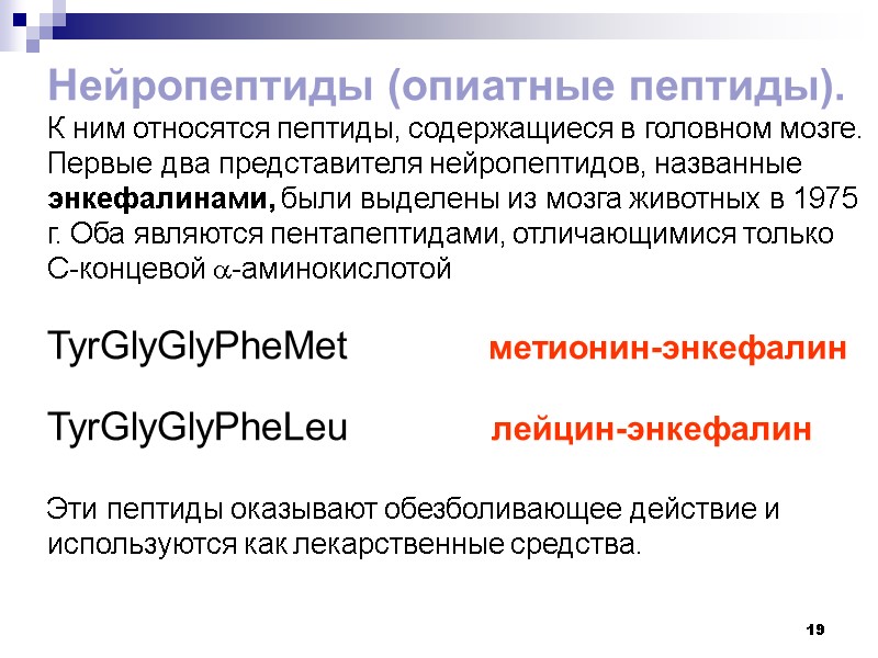 19 Нейропептиды (опиатные пептиды). К ним относятся пептиды, содержащиеся в головном мозге. Первые два